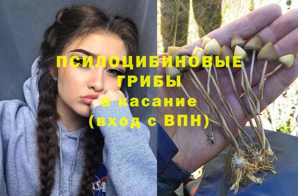 меф Алексин